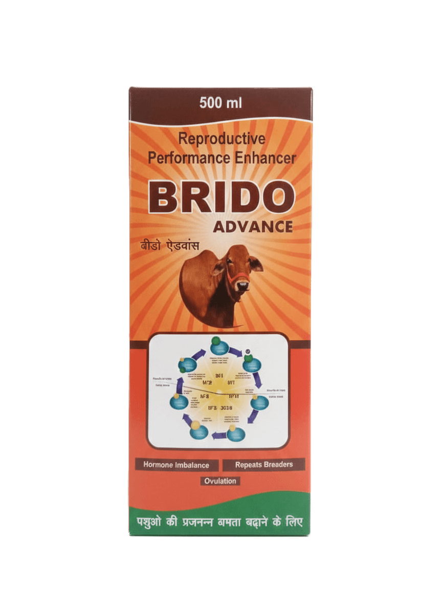 Brido Advance